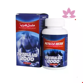 کپسول تریبولوس ماسل هرب افزایش هورمون های مردانه بهتا دارو 60 عددی