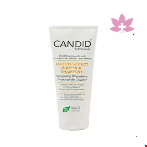 Candid Shampoo Color Protect And Repair For Dyed And Damaged Hair 200 Ml