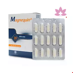 Pars Darou Magnequin Magnesium 30 Capsule