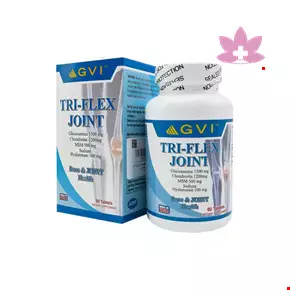 GVI Tri Flex Joint 60 Tablet