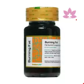 Golden Life Burning Fat 30 Tablet