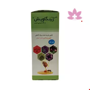 S.G Artiman Zingavish 120ml Syrup