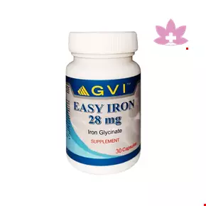 GVI Easy Iron 28 Mg 30 Capsule