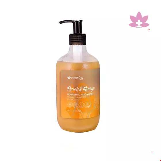 Handology Creamy Peach And Mango HandWash liquid 500 ml