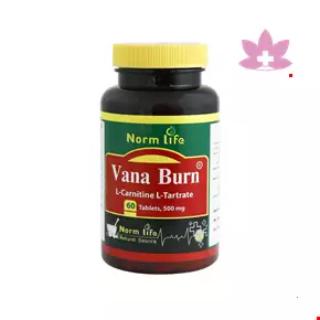 Norm life Vana Burn L Carnitine ۵۰۰ mg ۶۰ Tabs
