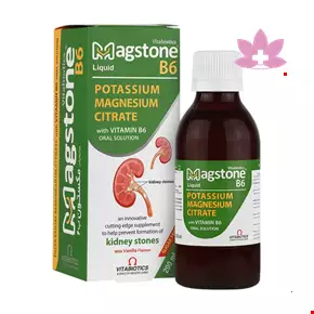 Vitabiotics Magstone B6 Liquid 200 ml