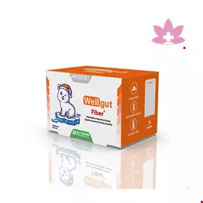 Zist Takhmir Well gut Fibr 15 Sachet